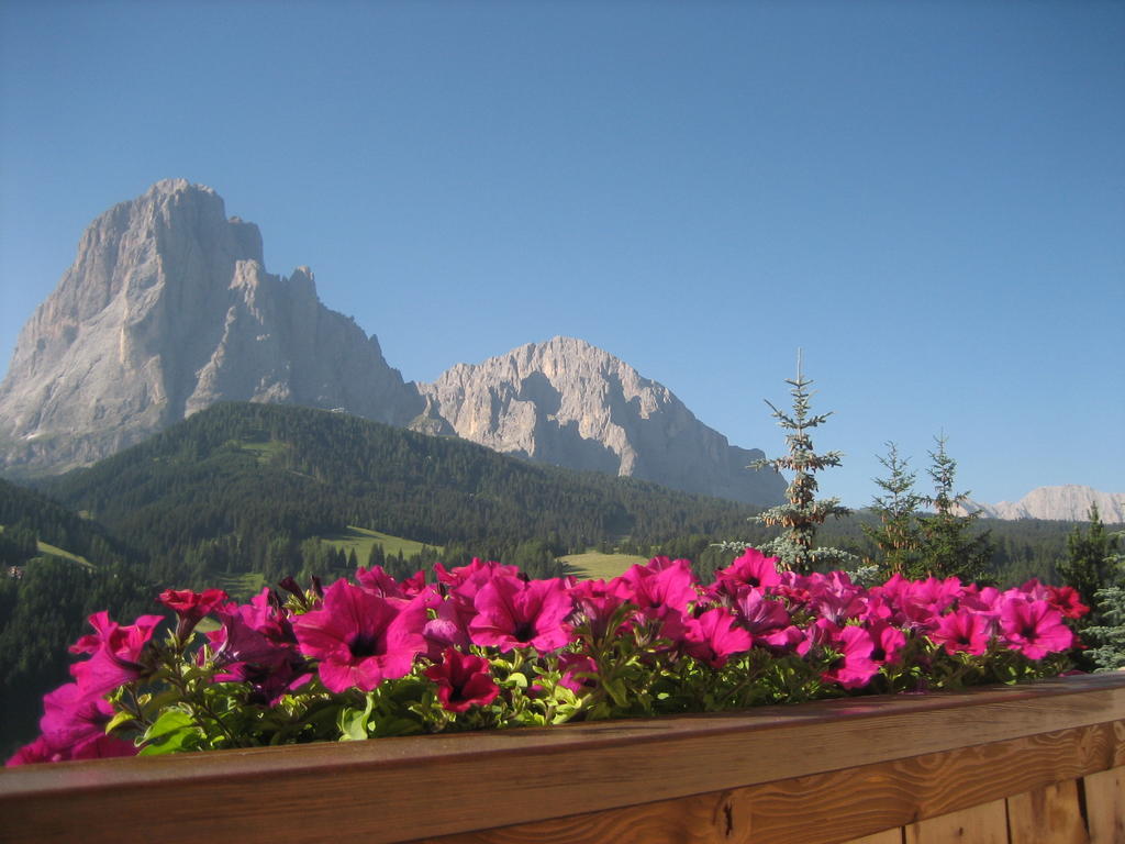 Apartments Etruska Santa Cristina Val Gardena ห้อง รูปภาพ